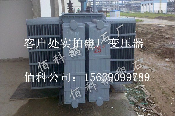 客戶(hù)想要購買(mǎi)齊全的水處理鵝卵石到哪里去？