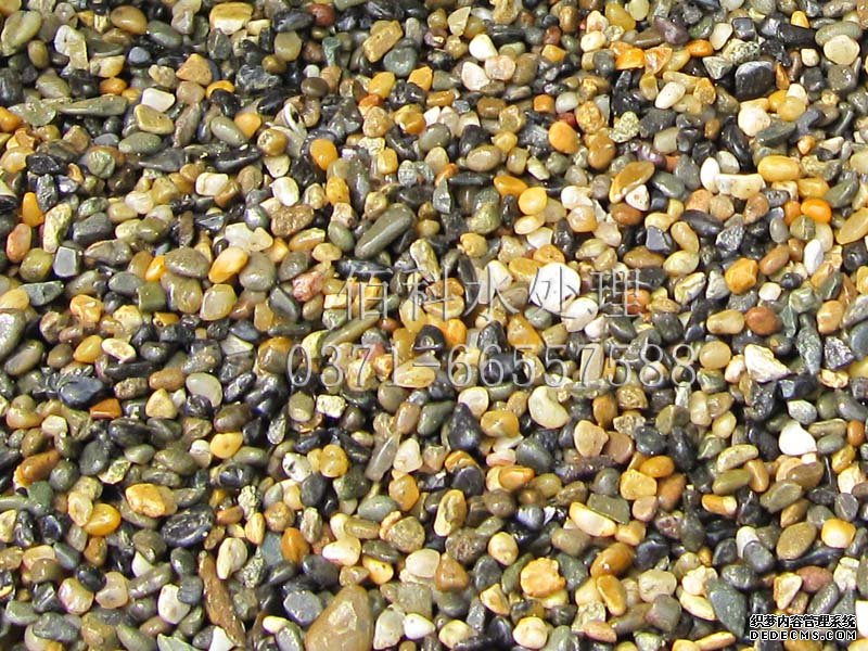 哪里有賣(mài)天然鵝卵石的？